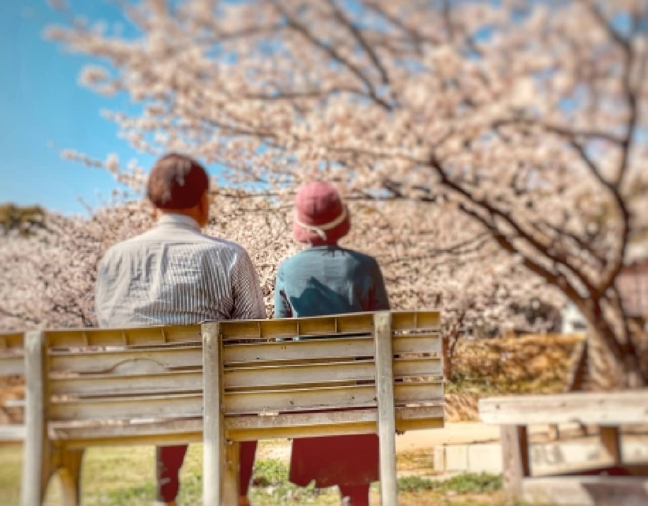 老夫婦が桜の木を眺めている様子